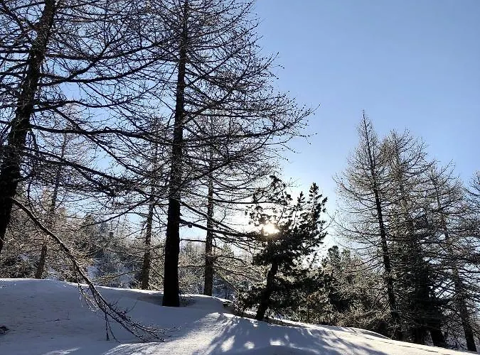 Hotel Rifugio Gimont *